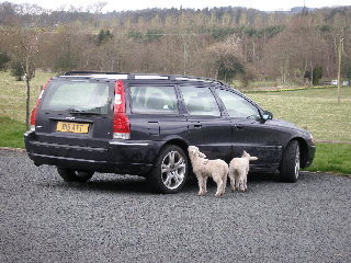 Scottish car wash!
